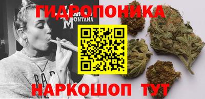 ПСИЛОЦИБИНОВЫЕ ГРИБЫ Кимры