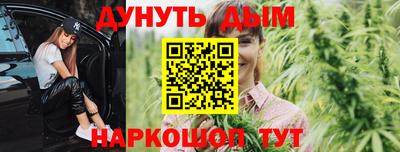 Альфа ПВП Кингисепп