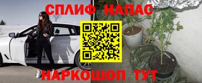 ПСИЛОЦИБИНОВЫЕ ГРИБЫ Кимры