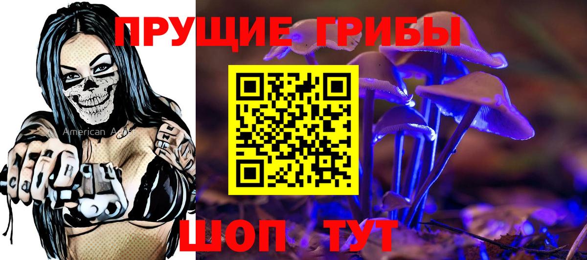 Псилоцибиновые грибы мицелий  Вход с VPN  Кировск 